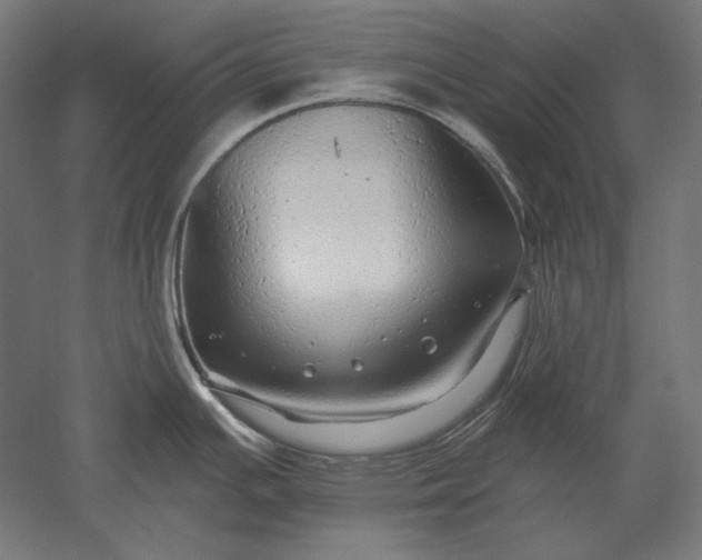 X0000051261391200507011707