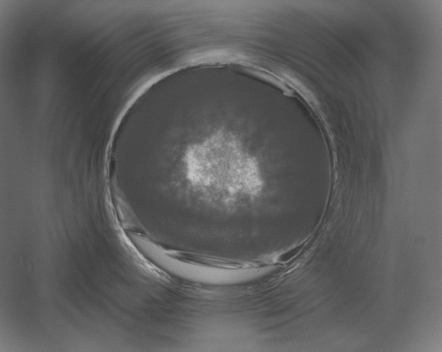 X0000051261392200507011707