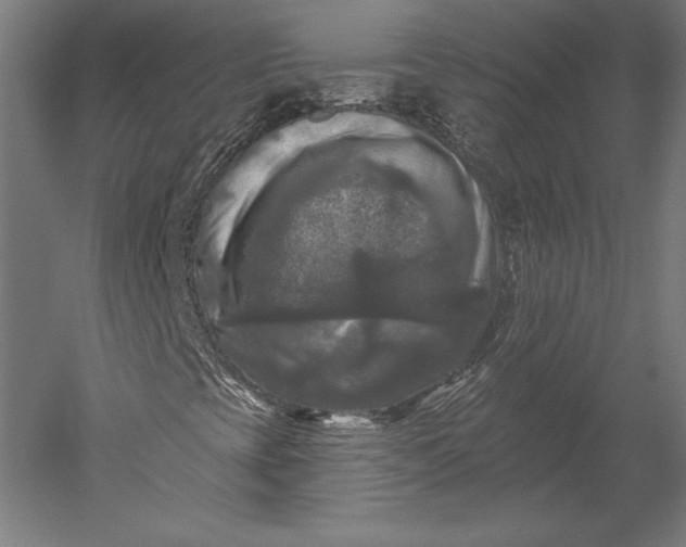 X0000051261393200507011706