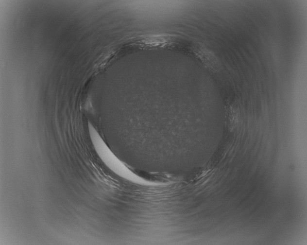 X0000051261394200507011706