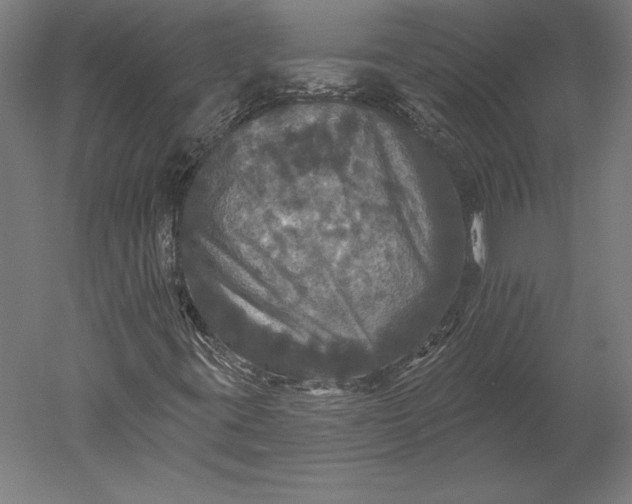 X0000051261395200507011706
