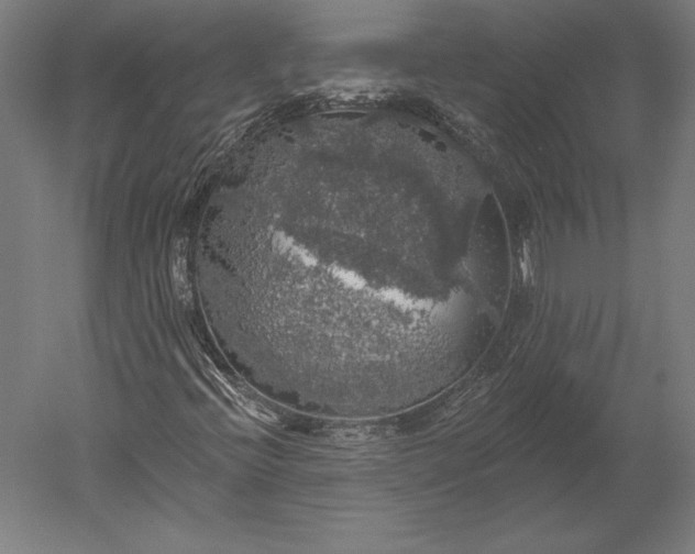 X0000051261396200507011706