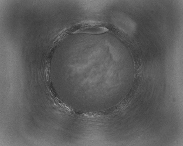 X0000051261397200507011706