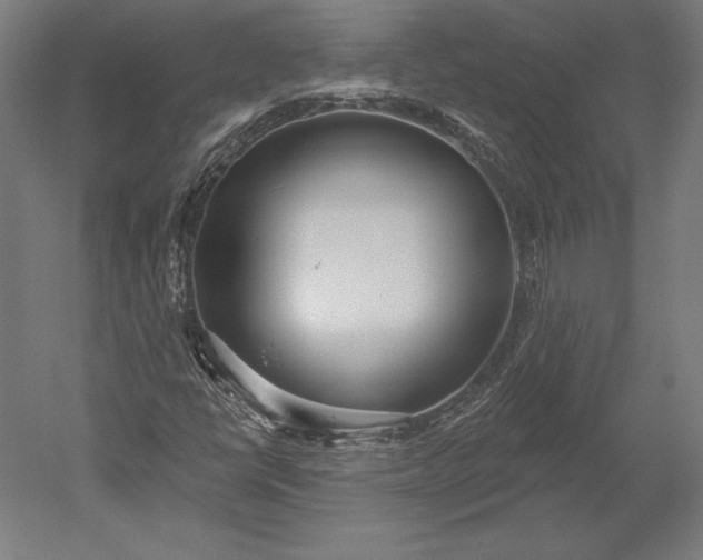 X0000051261398200507011706