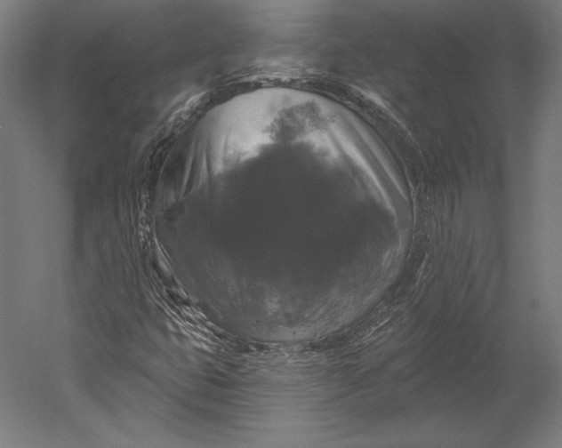 X0000051261399200507011706