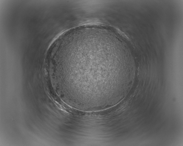 X0000051261400200507011706