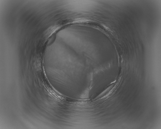X0000051261401200507011706