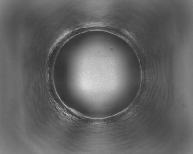 X0000051261406200507011706