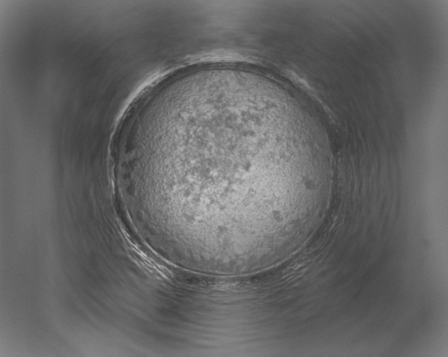X0000051261408200507011706