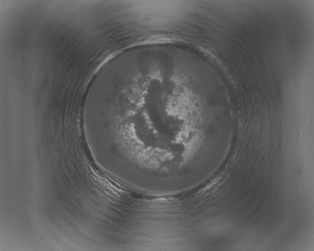 X0000051261409200507011706