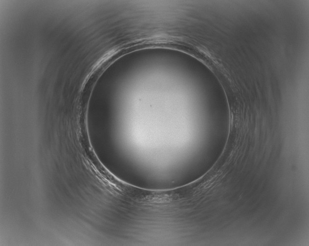 X0000051261410200507011706