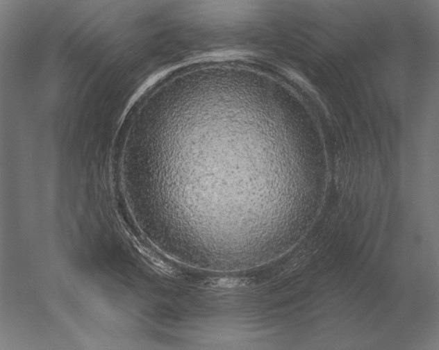X0000051261412200507011706