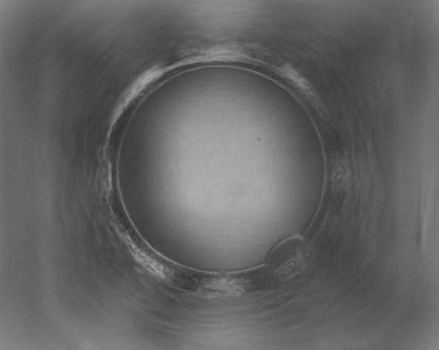 X0000051261414200507011706