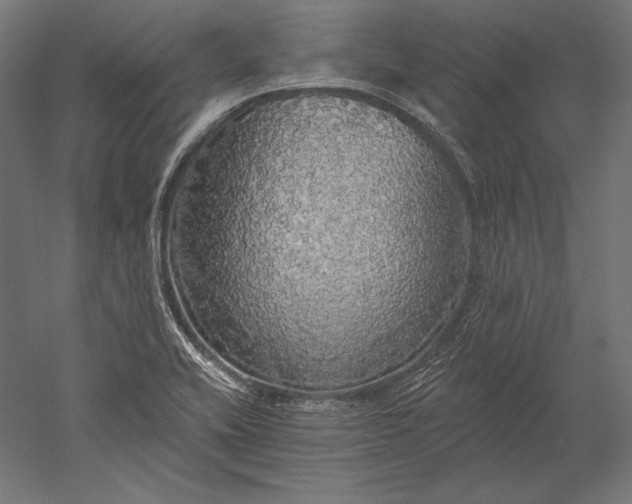 X0000051261416200507011706