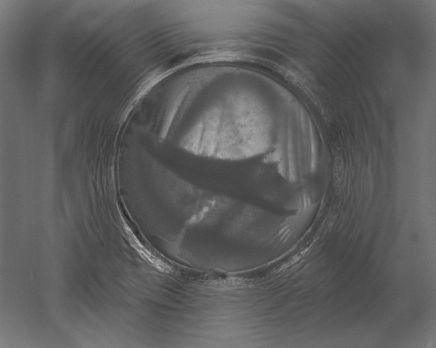 X0000051261417200507011706