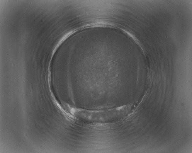 X0000051261418200507011706