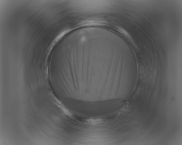 X0000051261419200507011706