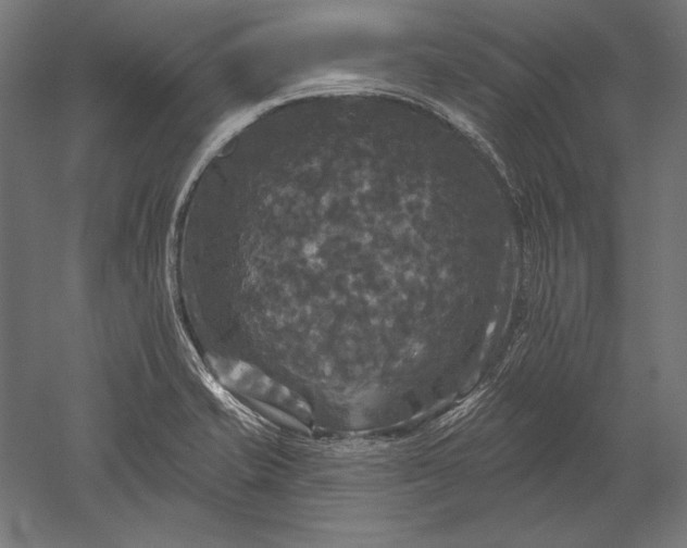 X0000051261421200507011707