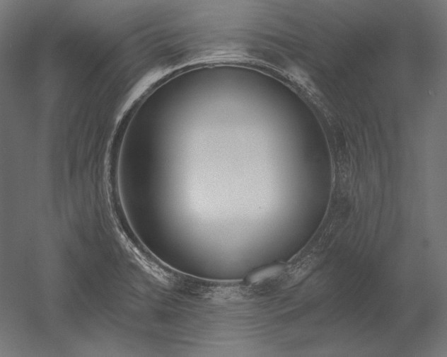 X0000051261422200507011707