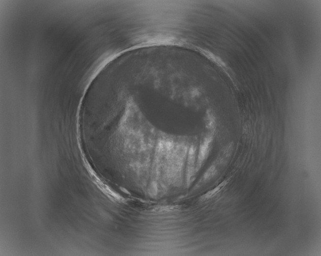 X0000051261423200507011707