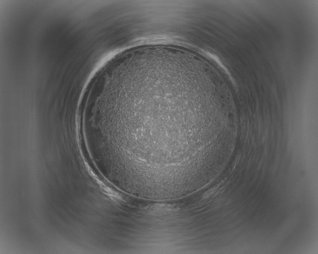 X0000051261424200507011707