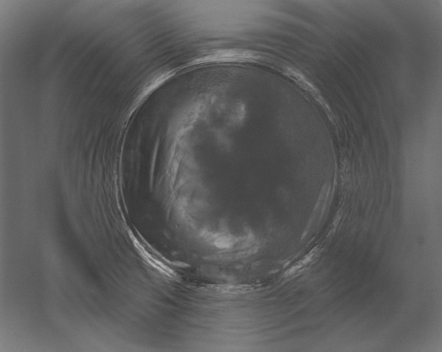 X0000051261425200507011707