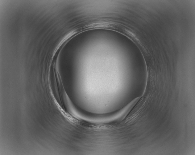 X0000051261426200507011707