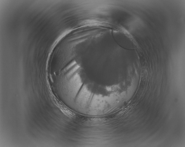 X0000051261427200507011707