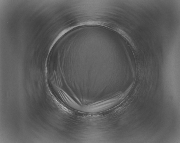 X0000051261428200507011707