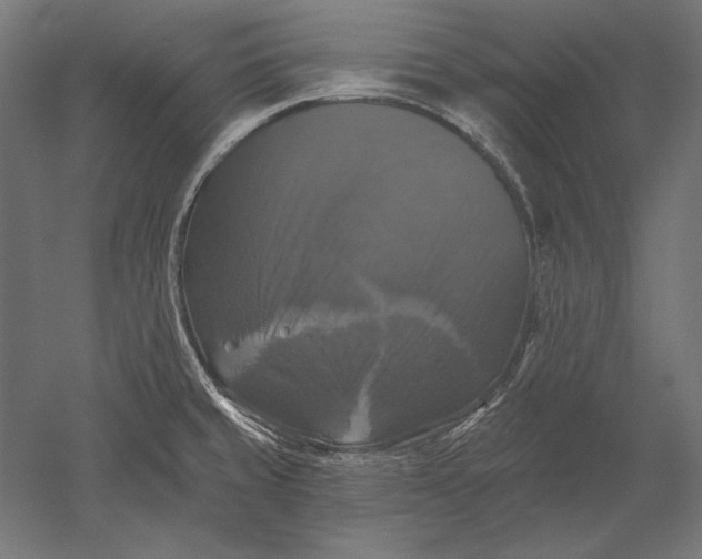X0000051261429200507011707