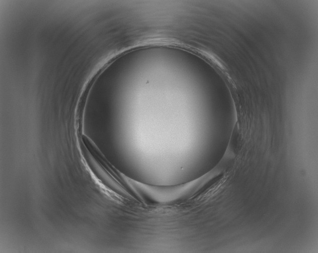 X0000051261430200507011707