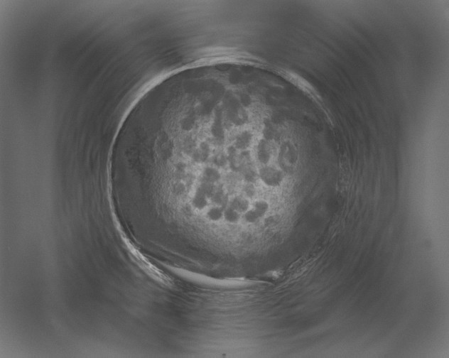 X0000051261431200507011707