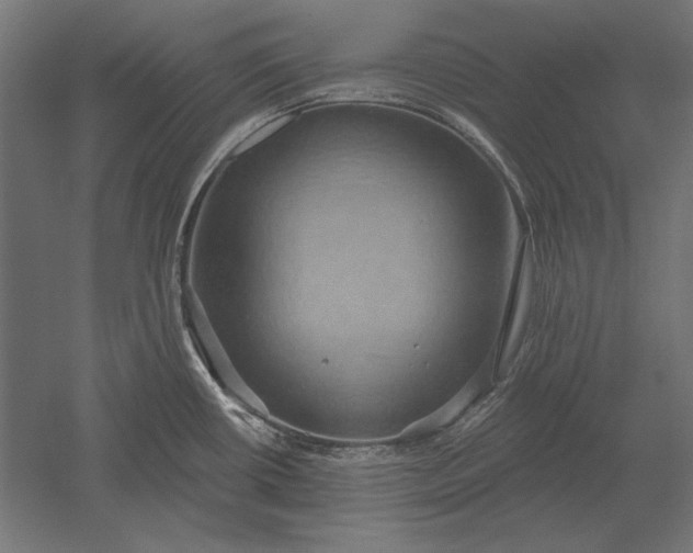 X0000051261434200507011707