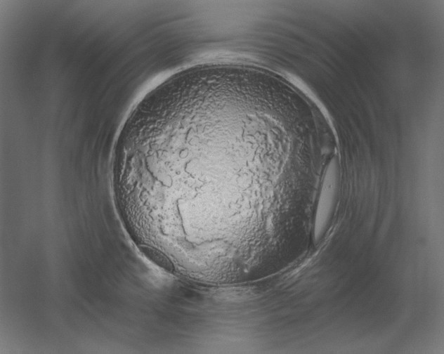 X0000051261437200507011707