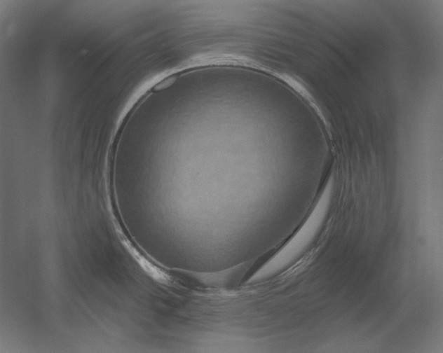 X0000051261438200507011707