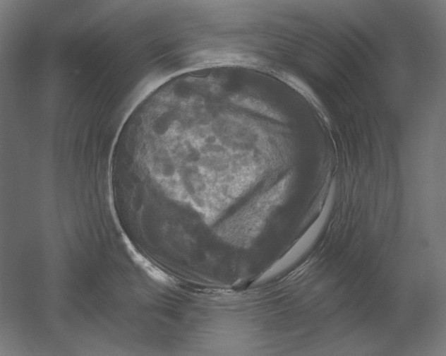 X0000051261439200507011707
