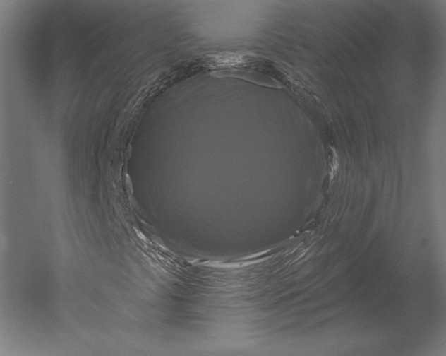 X0000051261441200507011706
