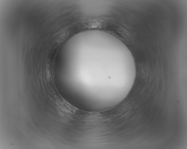 X0000051261442200507011706
