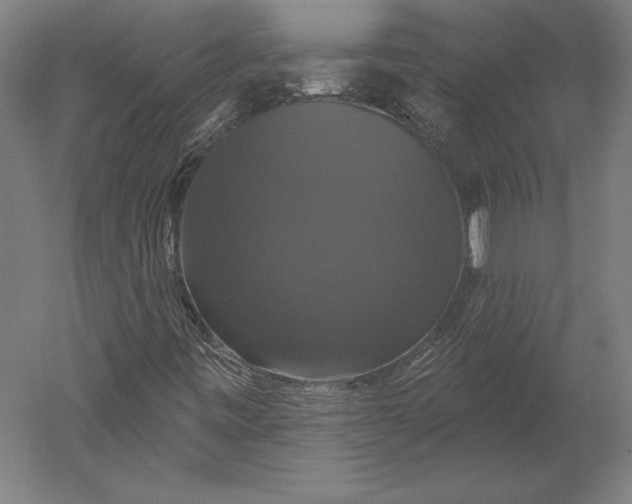 X0000051261443200507011706