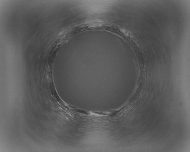 X0000051261445200507011706