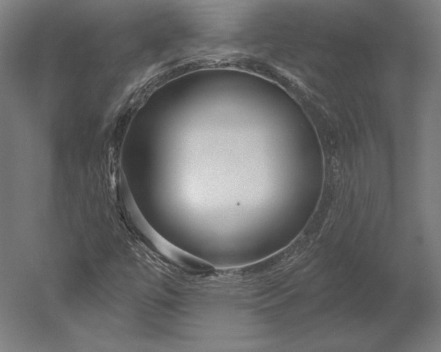 X0000051261447200507011706