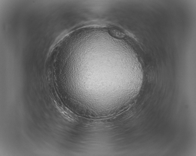 X0000051261448200507011706