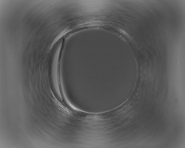 X0000051261450200507011706