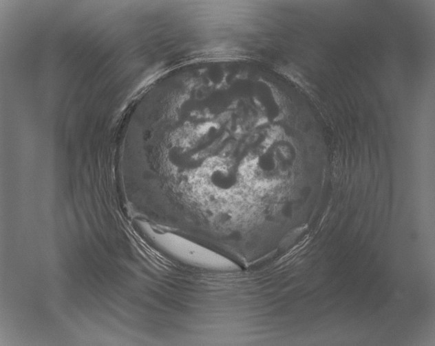 X0000051261451200507011706