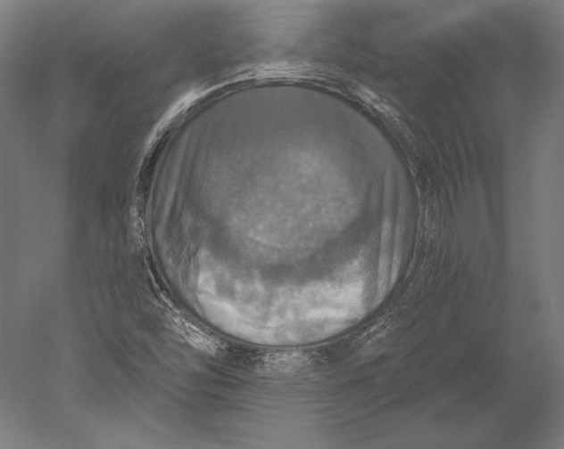 X0000051261454200507011706