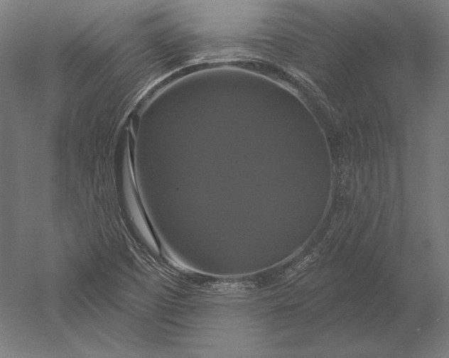 X0000051261457200507011706