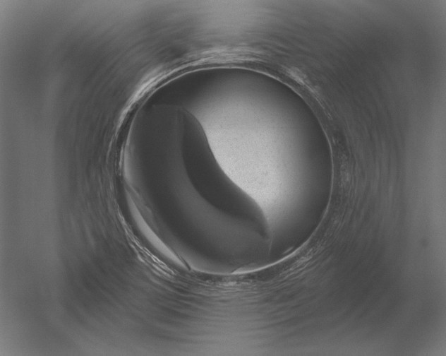 X0000051261459200507011706