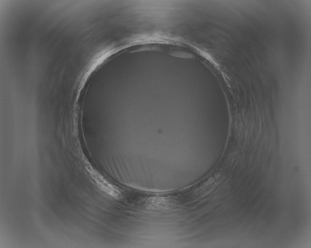 X0000051261463200507011706