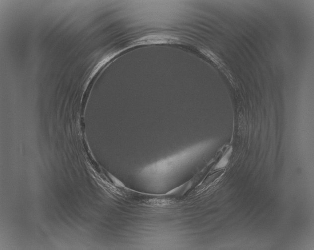 X0000051261465200507011706