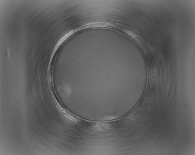 X0000051261466200507011706